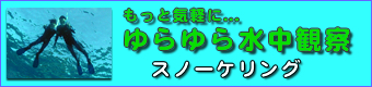 シュノーケリングのバナー