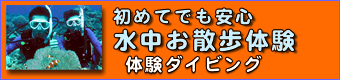 体験ダイビングのバナー