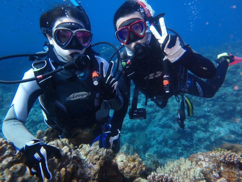 ゲストの水中写真