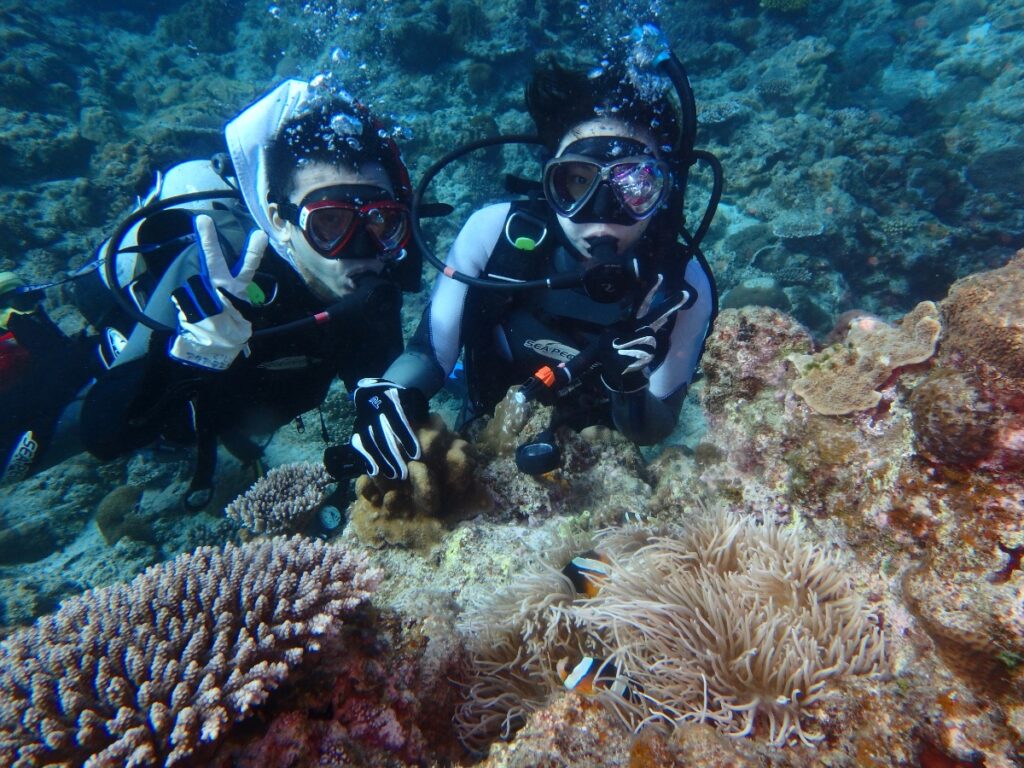慣れてきたゲストの水中写真